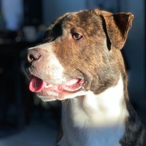 Meet your Posher, Hailey